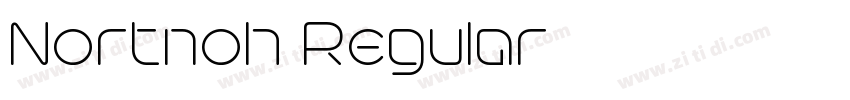 Nortnoh Regular字体转换